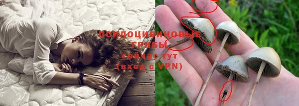 ешки Абдулино