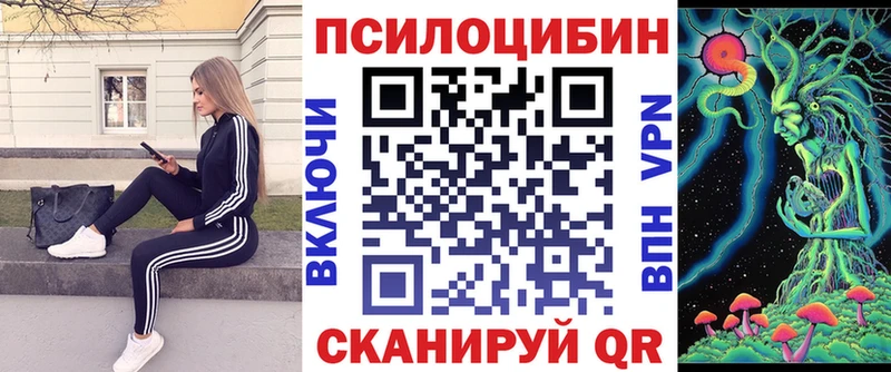 Псилоцибиновые грибы Psilocybe  Поворино 